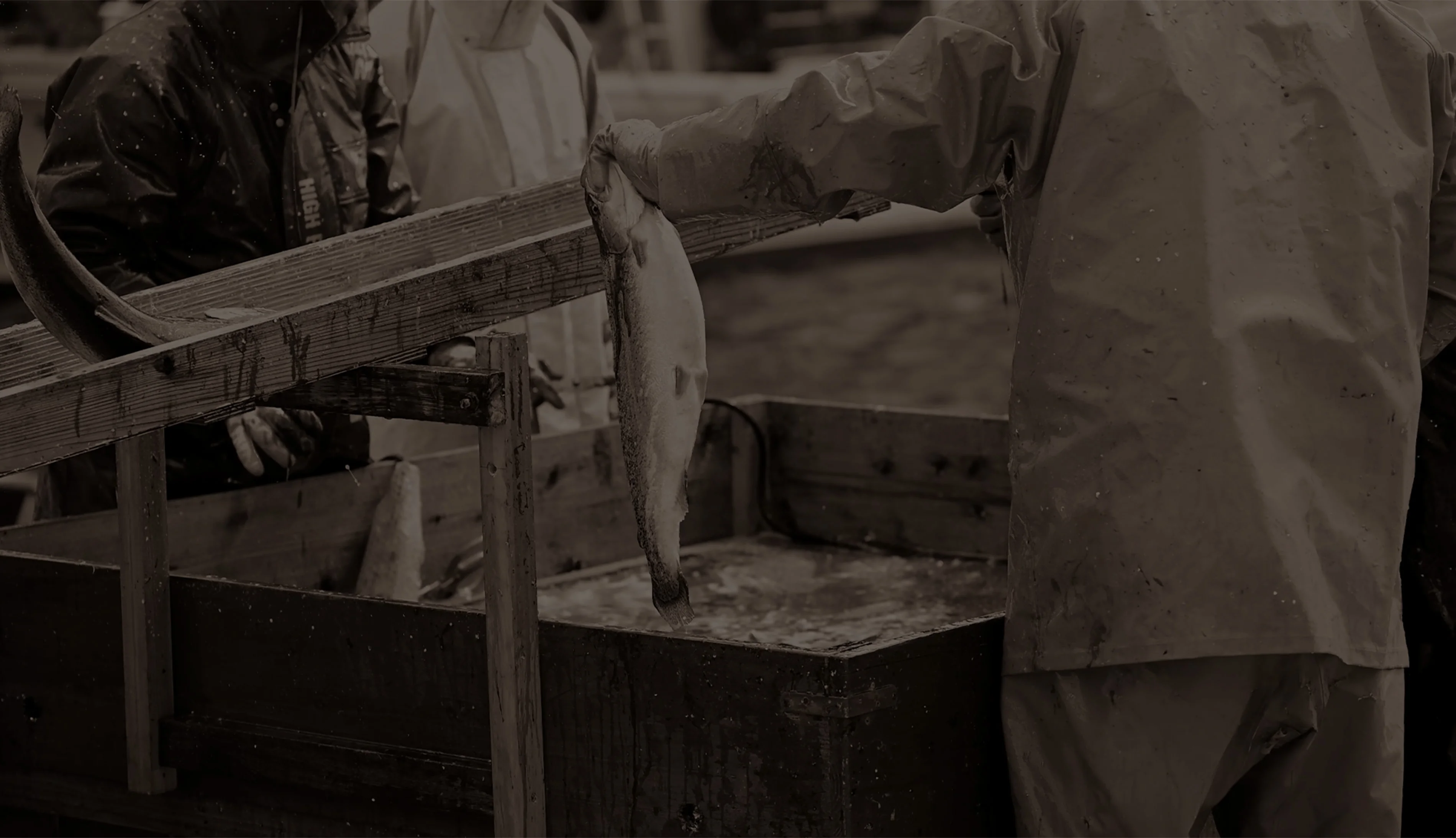 共創の島づくり