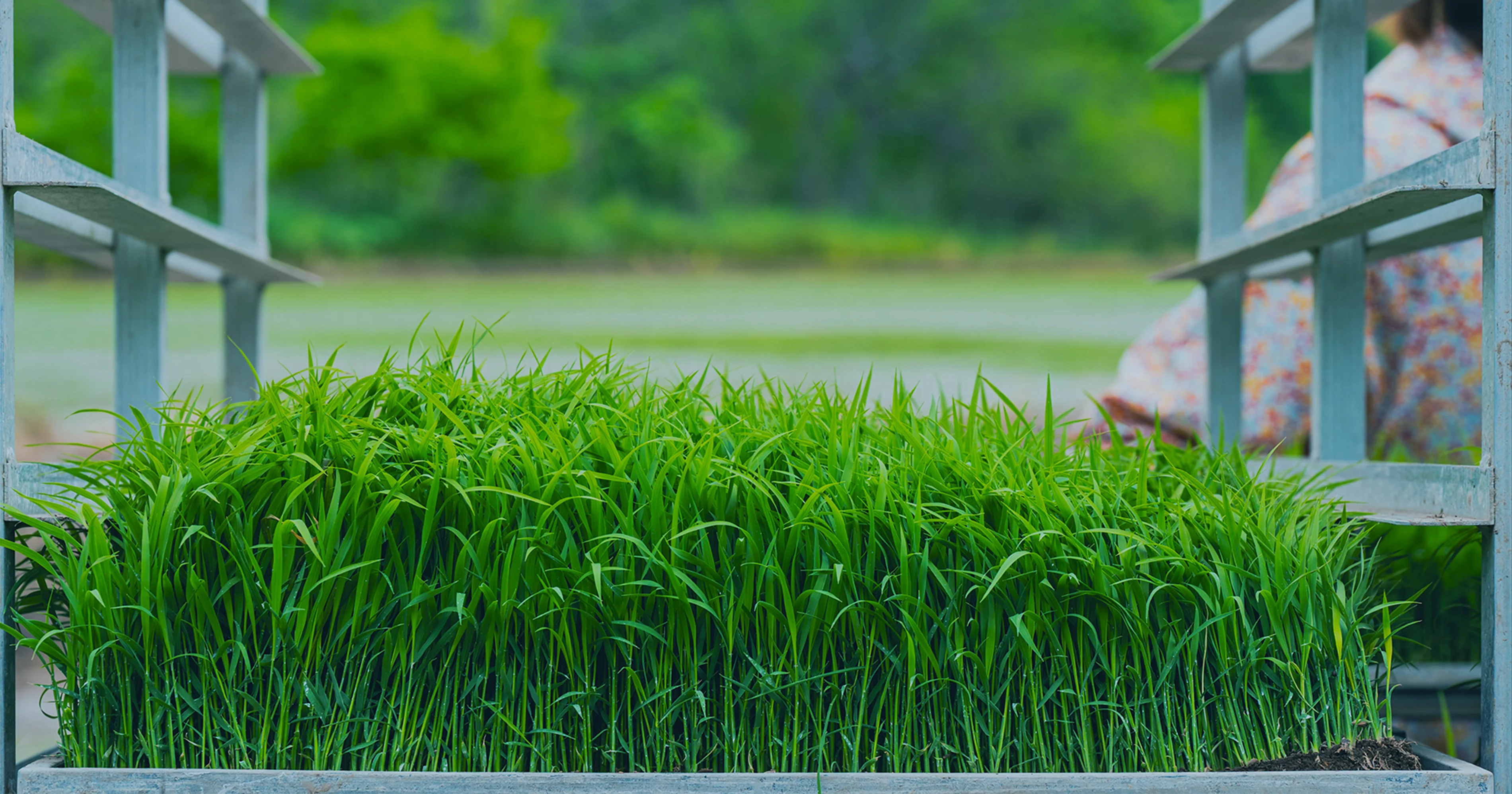 株式会社 JOIN 島と生きる