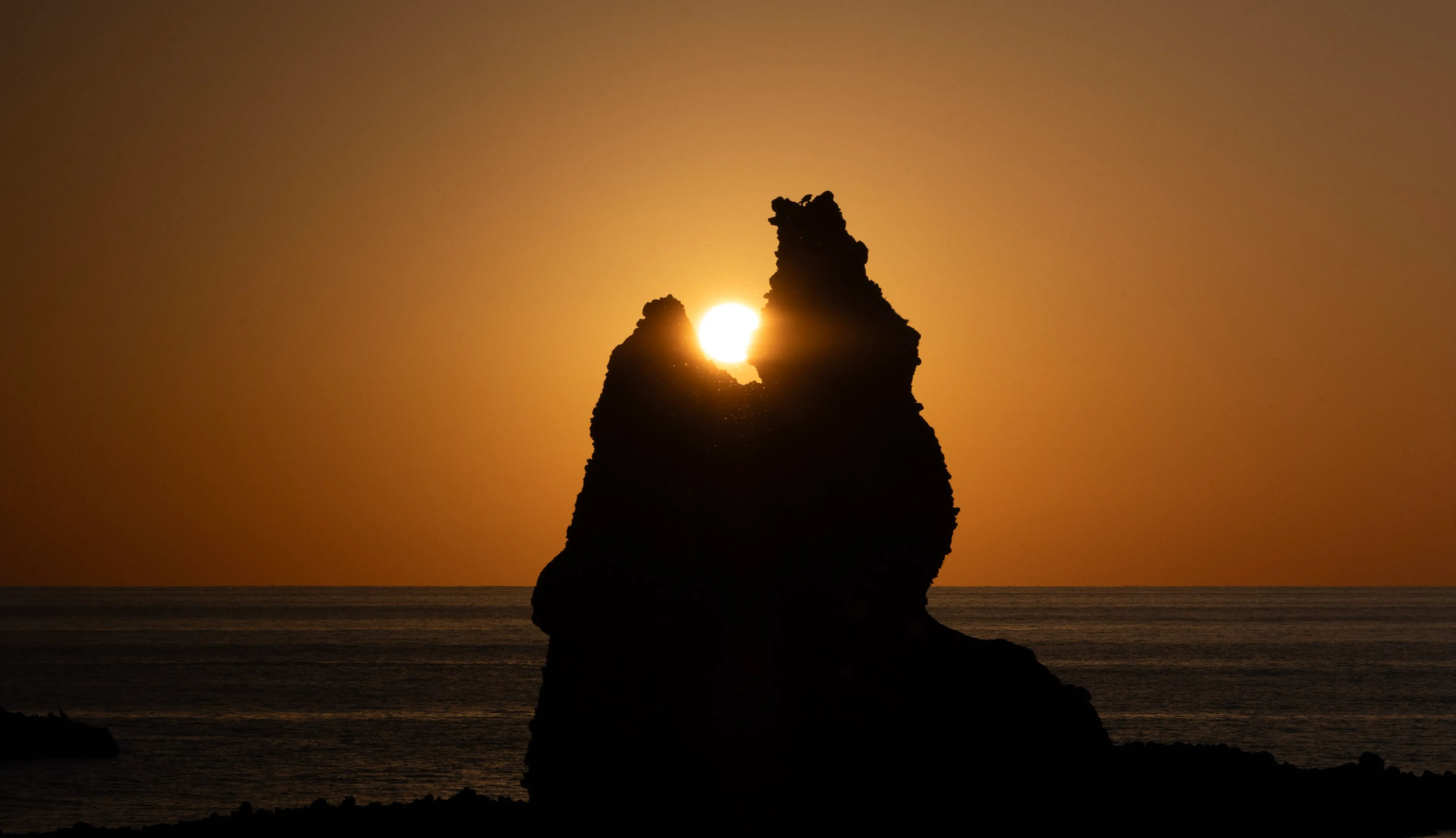 共創の島づくり