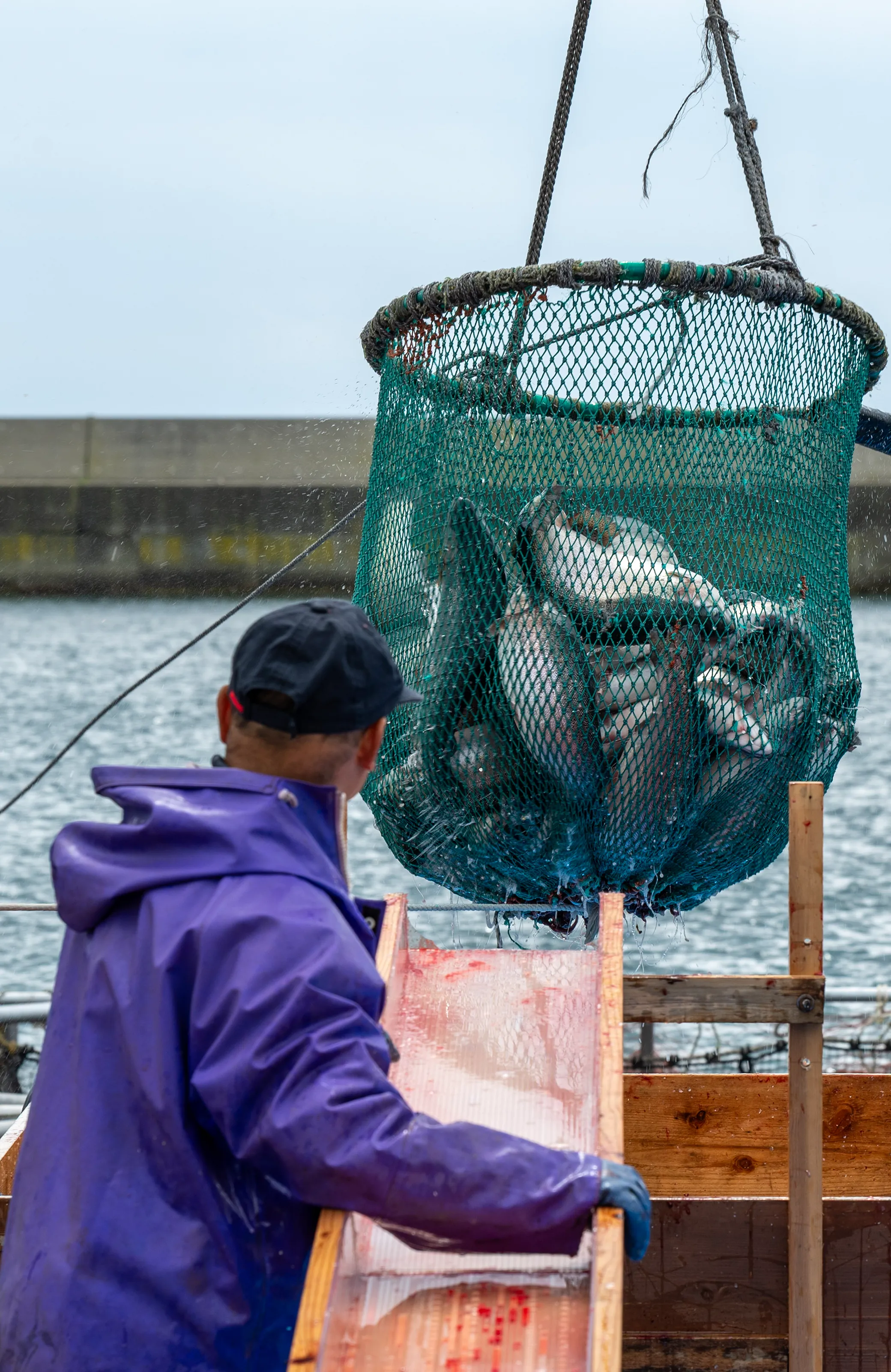 海に突き出た岩場の上に建つ赤い屋根の神社と青い海