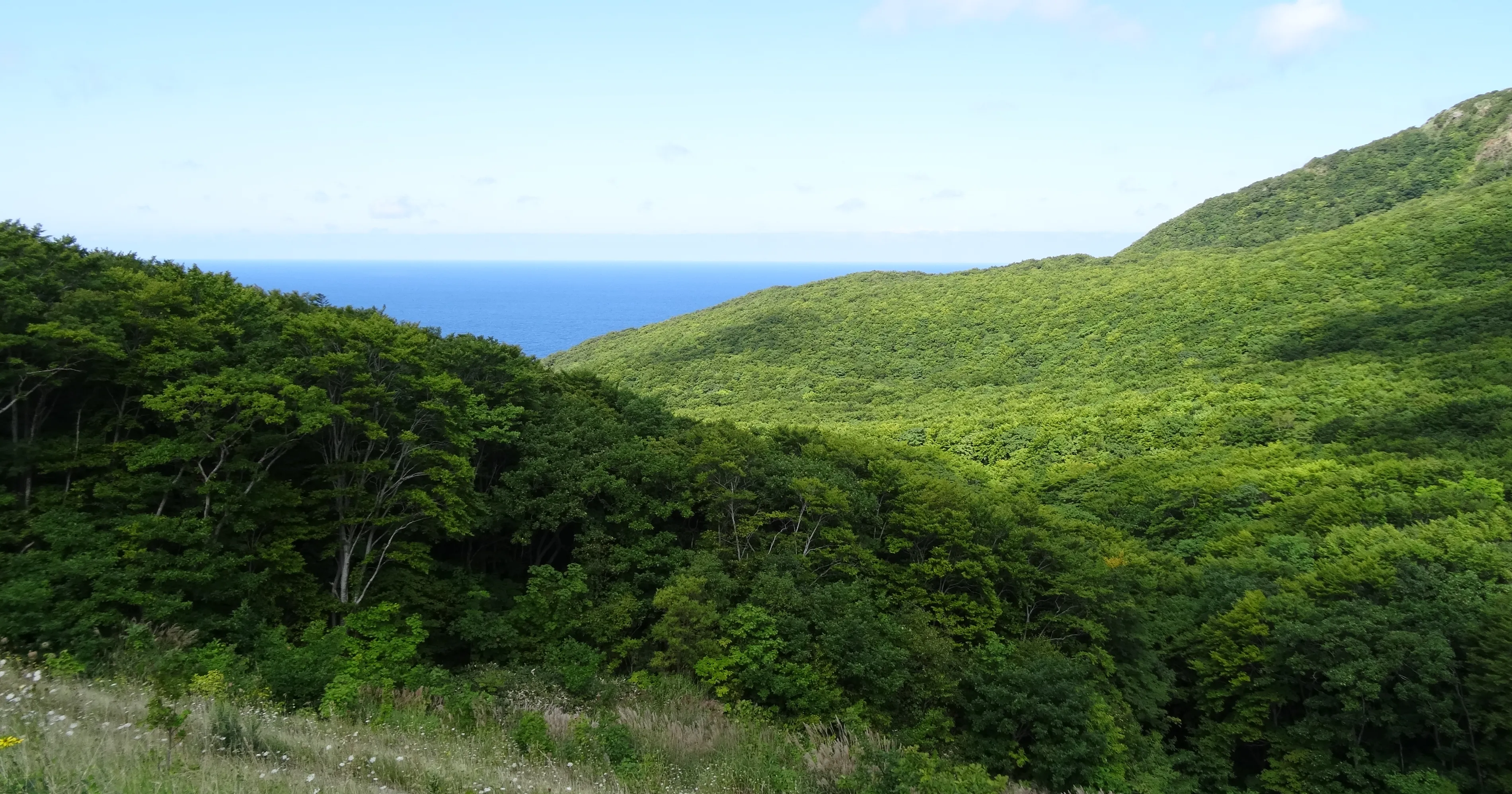 株式会社 JOIN 島と生きる