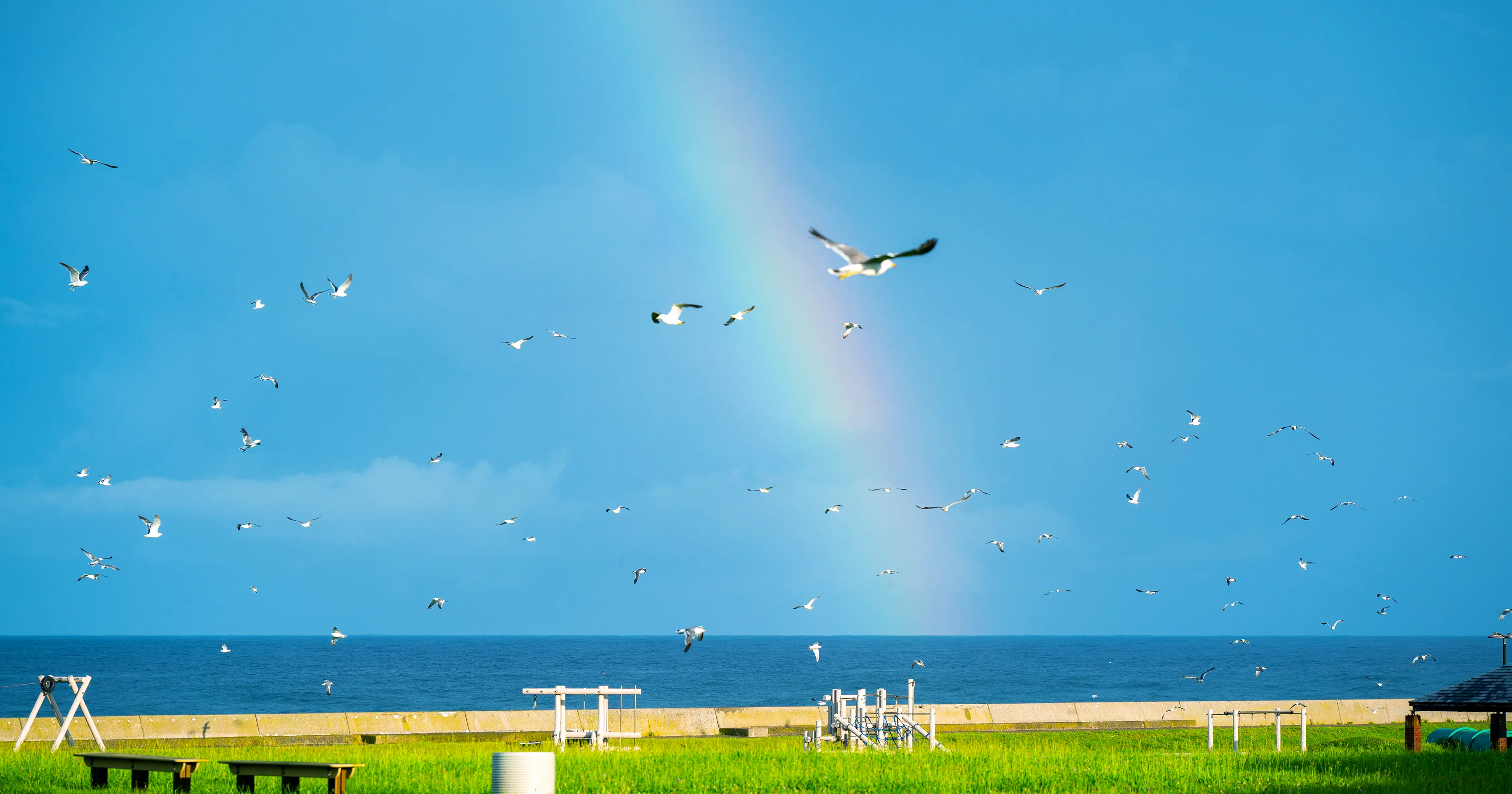 株式会社 JOIN 島と生きる